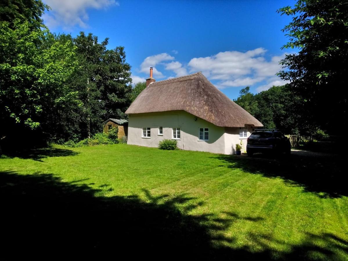 Honeysuckle Cottage Dorchester Luaran gambar