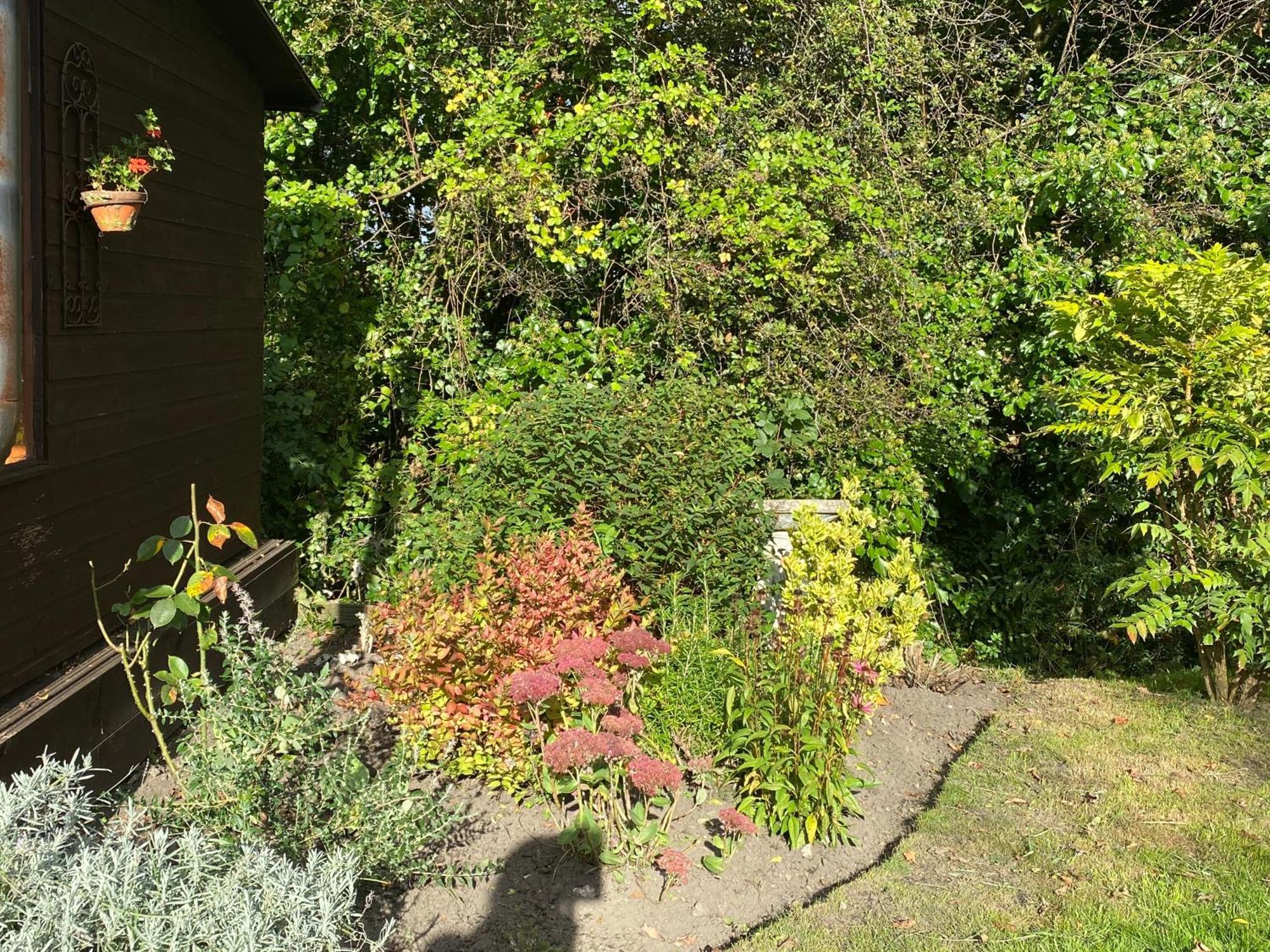 Honeysuckle Cottage Dorchester Luaran gambar